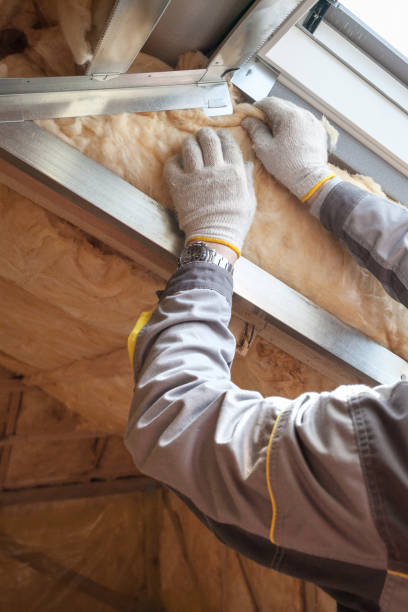 Best Eco-Friendly Insulation in Pittsville, MD