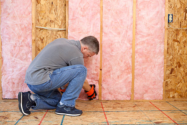 Best Fiberglass Insulation in Pittsville, MD